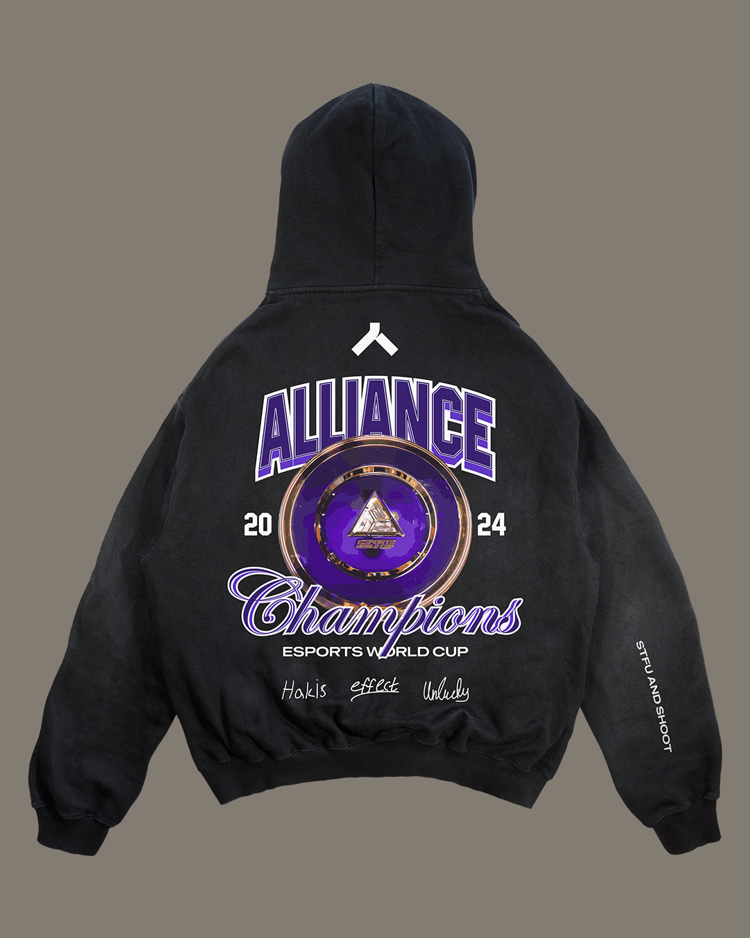 Alliance EWC Championship Hoodie – Alliance Shop