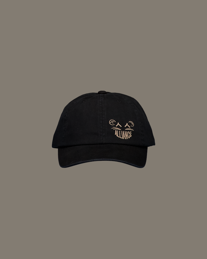Dad cap